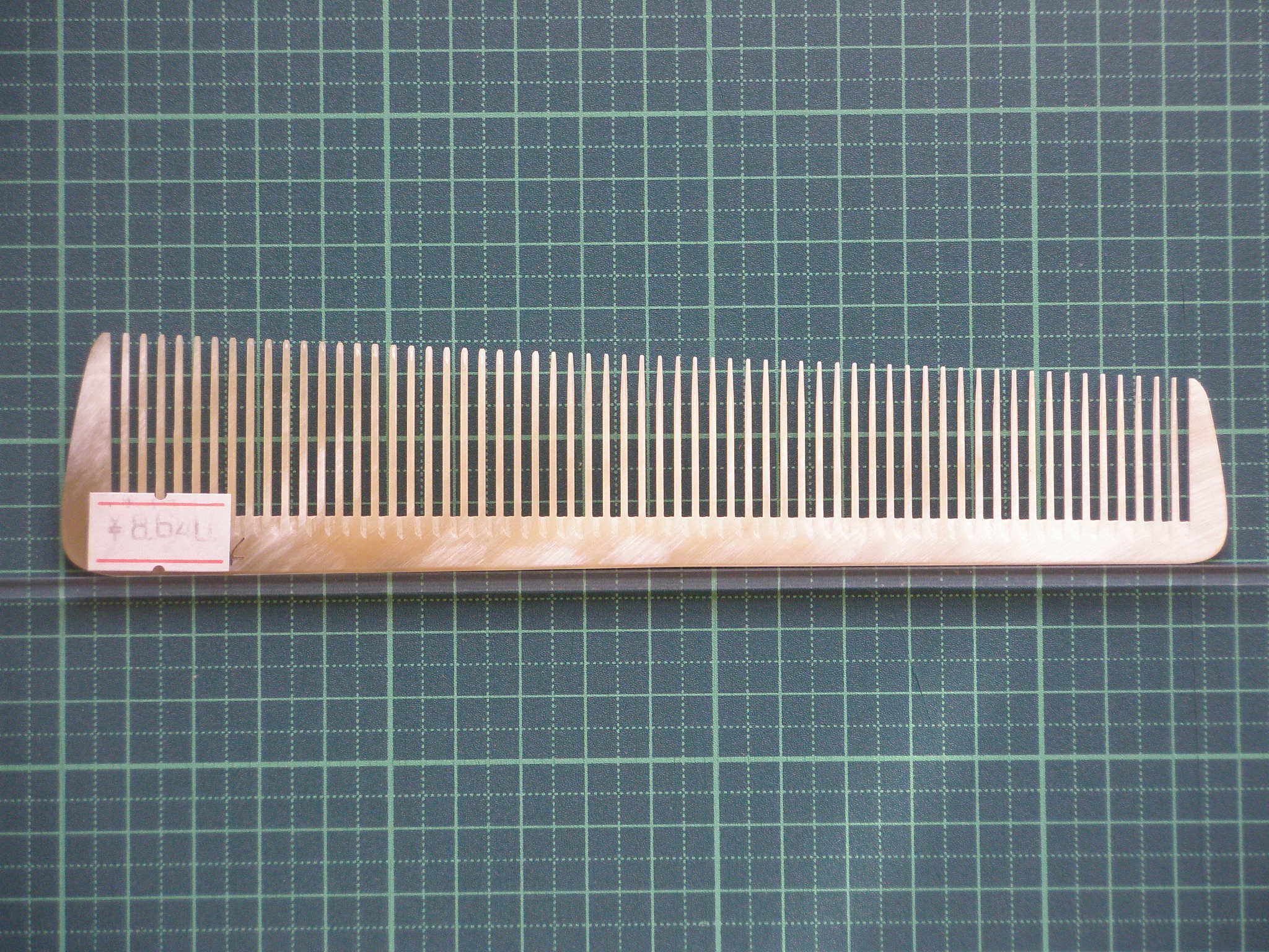 taiyoukusi20180619 (12).JPG 